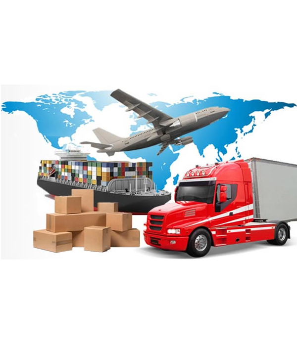 Professional Team for House Shifting in Dubai